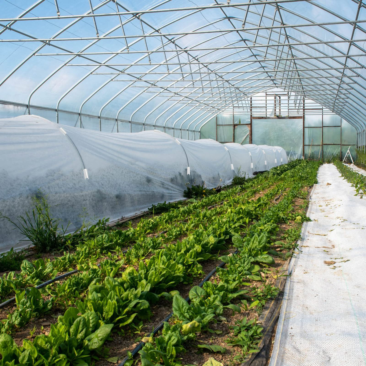 Jetec multipurpose clips support row covers, screens, and shelter setups.