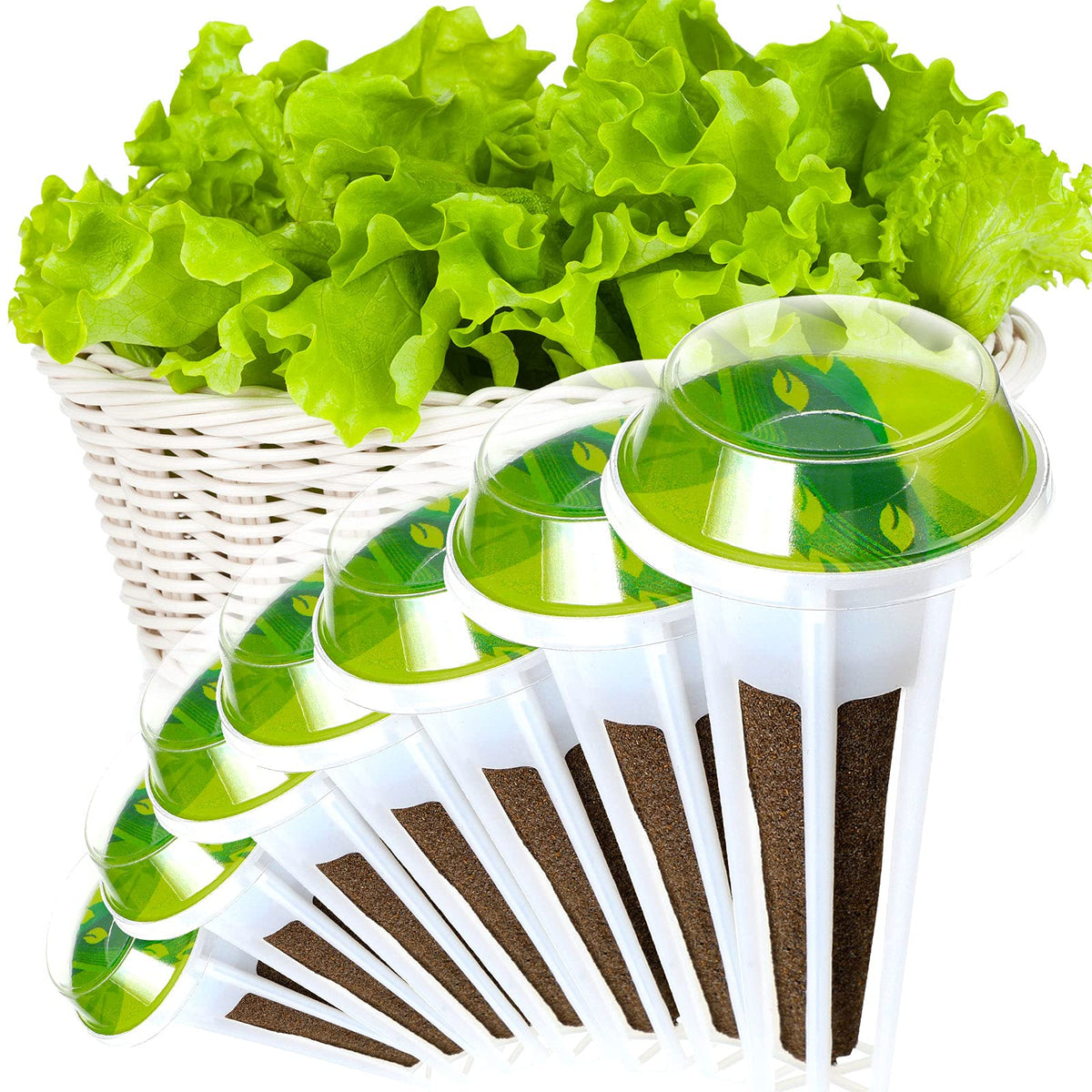 Jetec seed pot label with tear-line feature for easy customization.