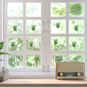 Jetec transparent acrylic holders showcase greenery with a clean, minimal aesthetic.
