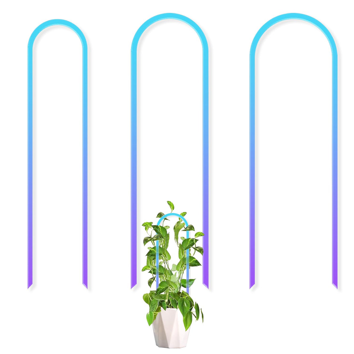 JETTIFY U-shaped colorful acrylic plant trellis supports climbing plants and prevents tangling