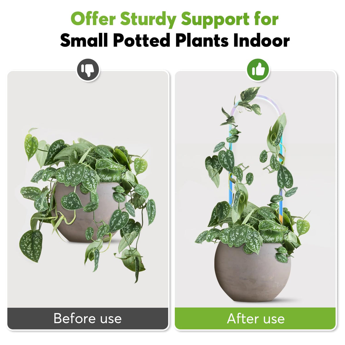 JETTIFY small plant trellis for potted plants keeps vines organized and supported