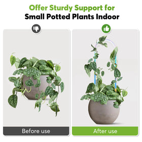 JETTIFY small plant trellis for potted plants keeps vines organized and supported