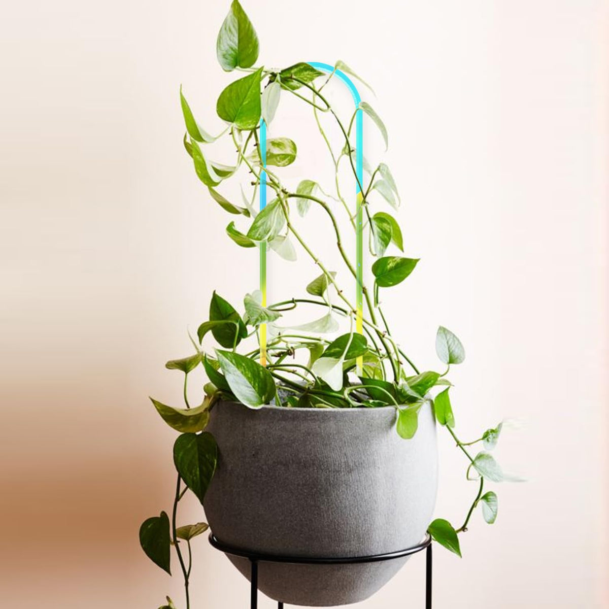 JETTIFY weather-resistant acrylic trellis withstands sun and rain without fading
