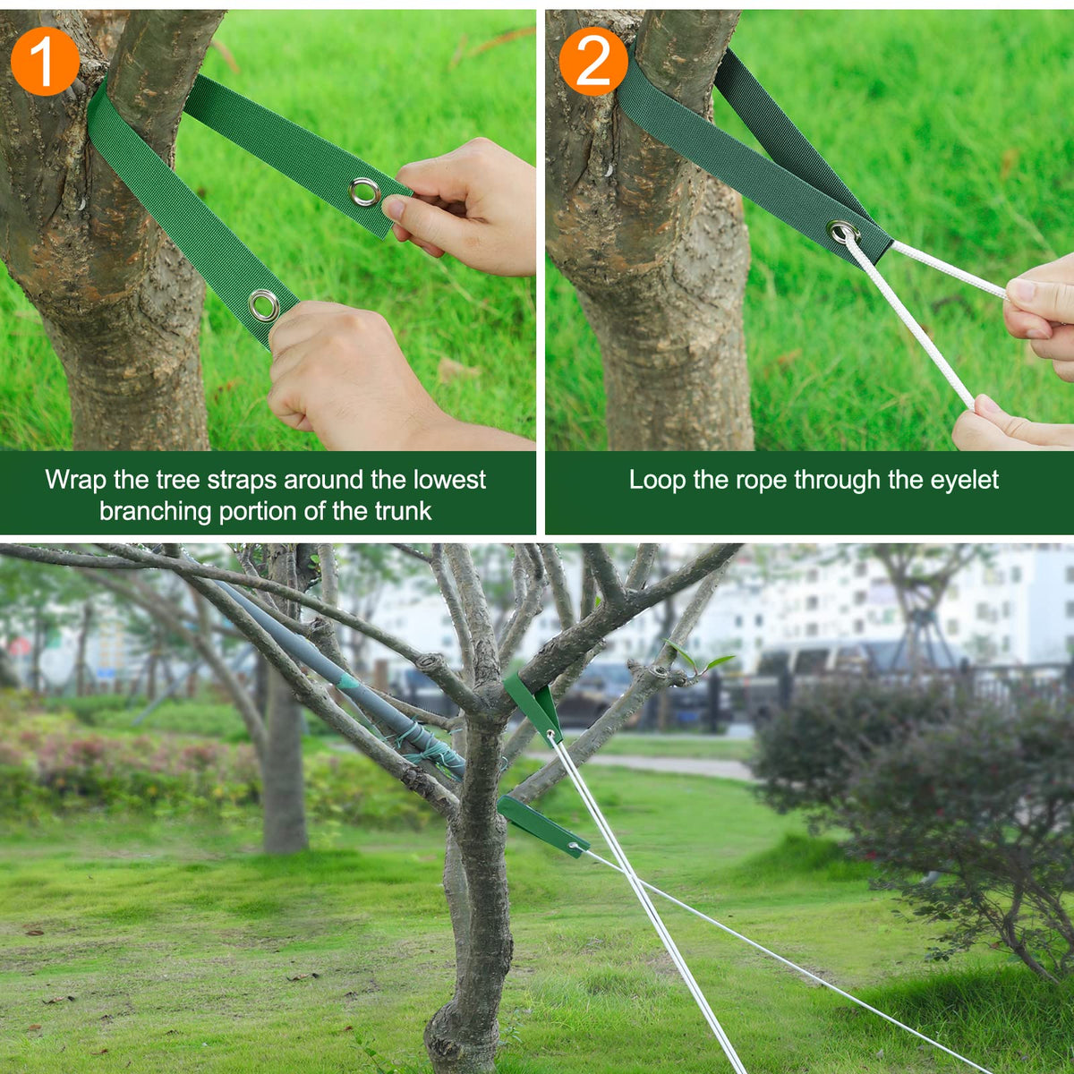 Jevrench easy-install tree straps simplify staking with wrap-and-secure action.