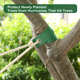 Jevrench hurricane protection for trees during windy weather.