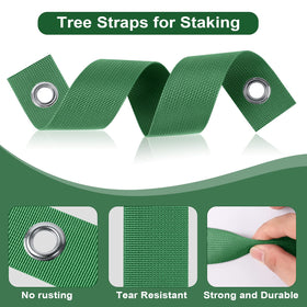 Jevrench hurricane protection for trees keeps limbs aligned and safe.
