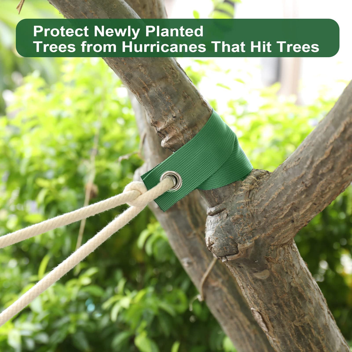 Jevrench leaning tree support helps straighten trees in windy weather.