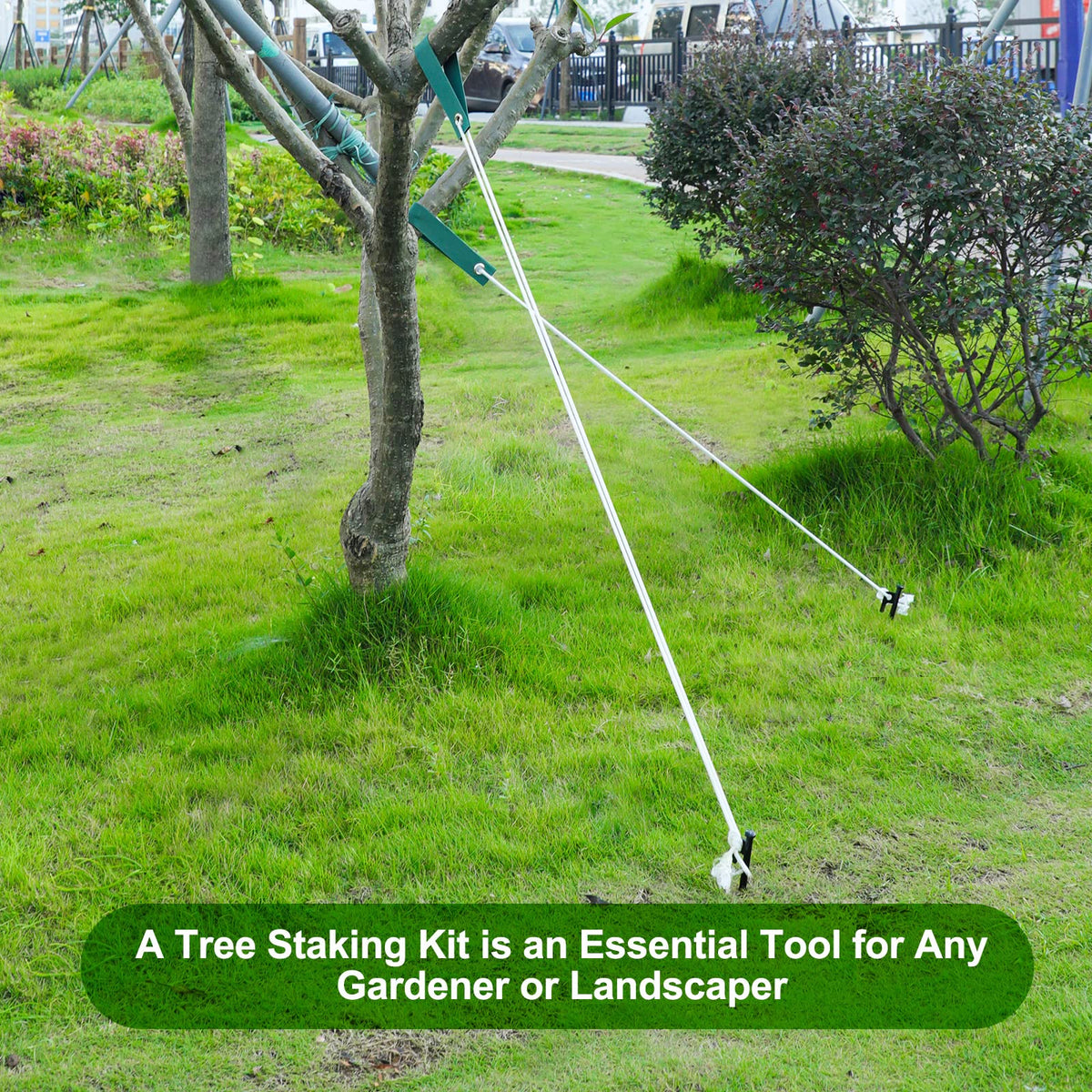 Jevrench-kit promotes healthy, straight growth for young trees.