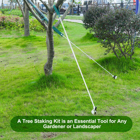 Jevrench-kit promotes healthy, straight growth for young trees.