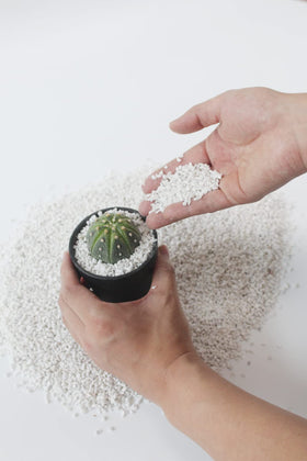JFWOD Perlite helps prevent soil compaction and waterlogging for roots.