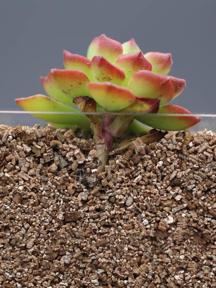 JFWOD Vermiculite improving drainage in pots and beds