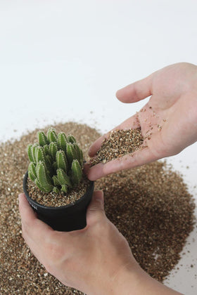 Indoor garden pots benefit from JFWOD vermiculite in soil mixes.