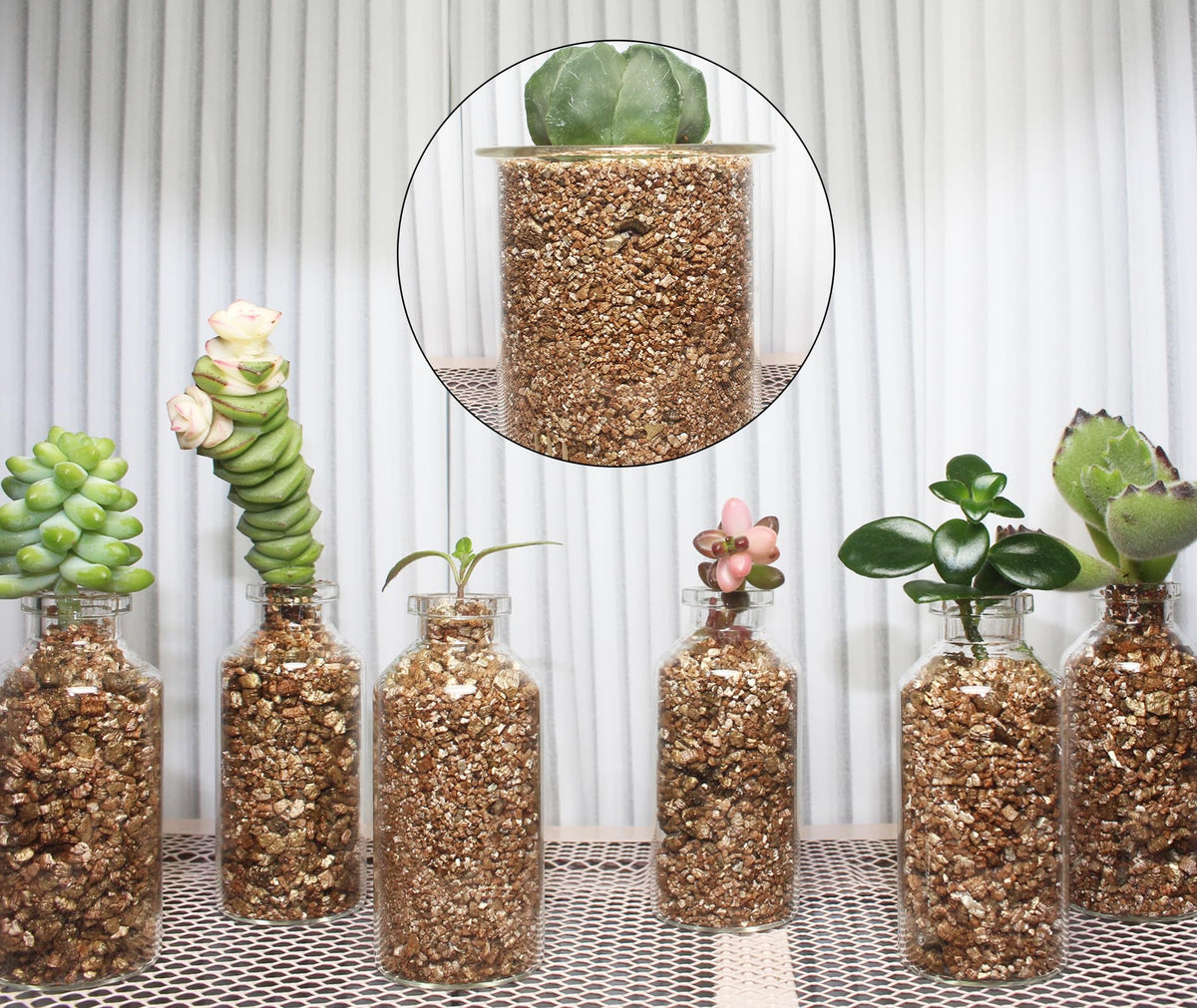 JFWOD Vermiculite aiding rooting cuttings in media