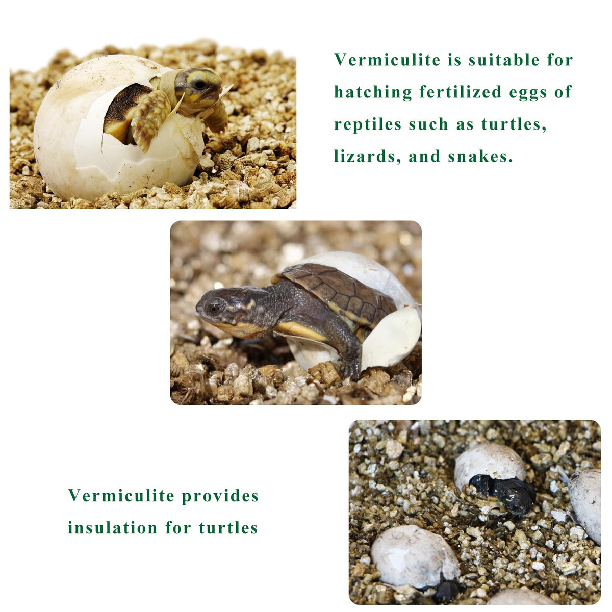 JFWOD Vermiculite ideal for seed starting and germination