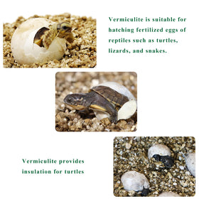 JFWOD Vermiculite ideal for seed starting and germination
