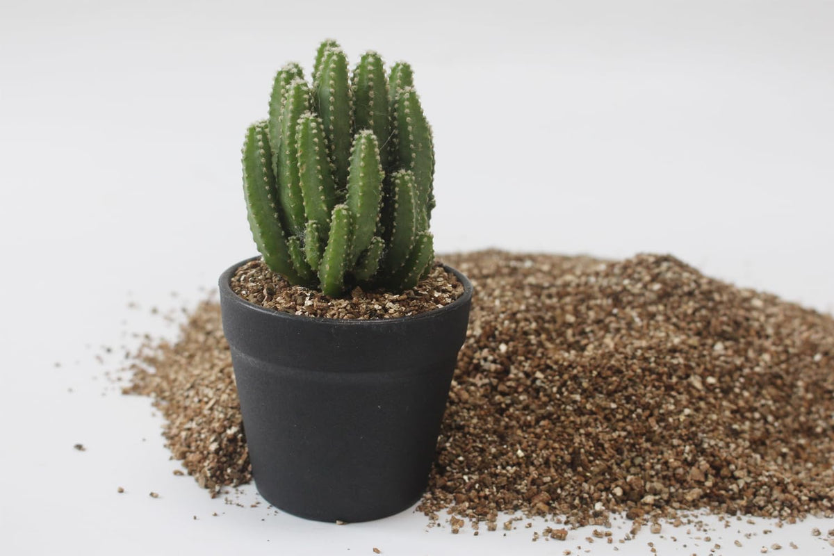 JFWOD Vermiculite for soil aeration and breathable roots