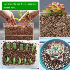 JFWOD vermiculite enhances moisture retention while protecting roots.