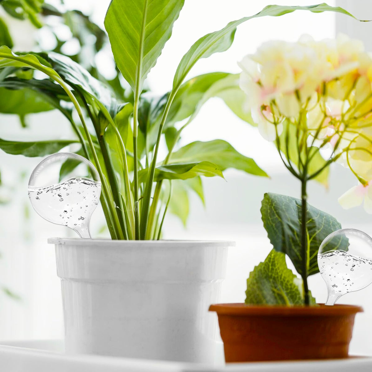 Jgalnim 20-pack demonstrates a complete watering kit