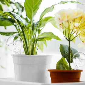 Jgalnim 20-pack demonstrates a complete watering kit