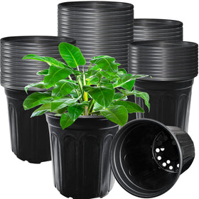 Jgalnim 60-pack 1gal nursery pot set for seed starting and transplanting.