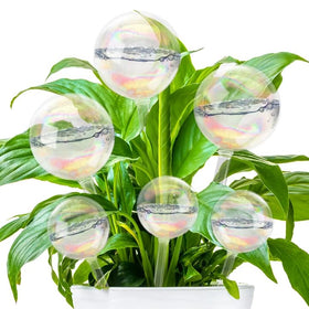 Jgalnim iridescent large watering globe with 180ml capacity for effortless indoor hydration.