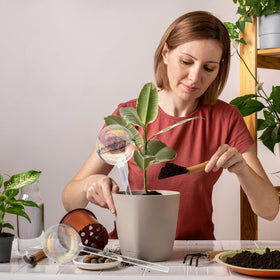 Jgalnim auto-watering globes offer hands-off irrigation for busy gardeners.