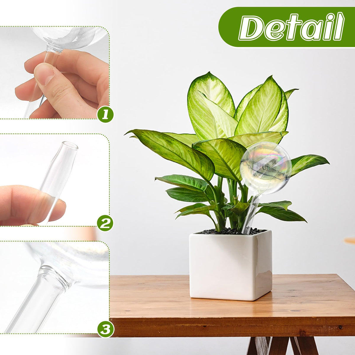 Jgalnim glass watering bulbs used indoors and outdoors for versatile plant care.