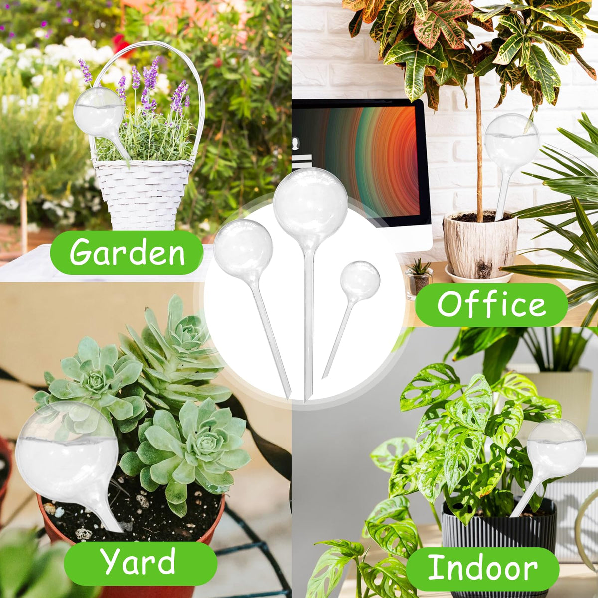 Jgalnim indoors outdoors use watering bulbs show versatile plant care