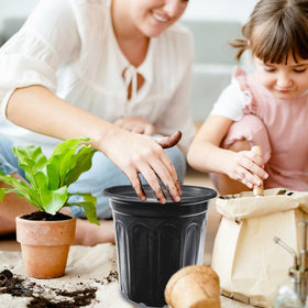 Jgalnim seed start-transplant pot ideal for first-stage seedlings.