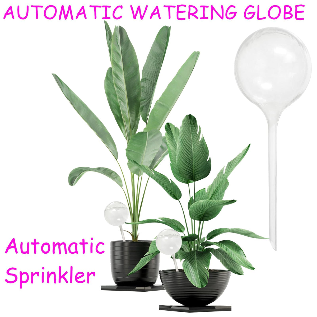 Jgalnim watering bulbs fit pots, baskets, patios, and desks.