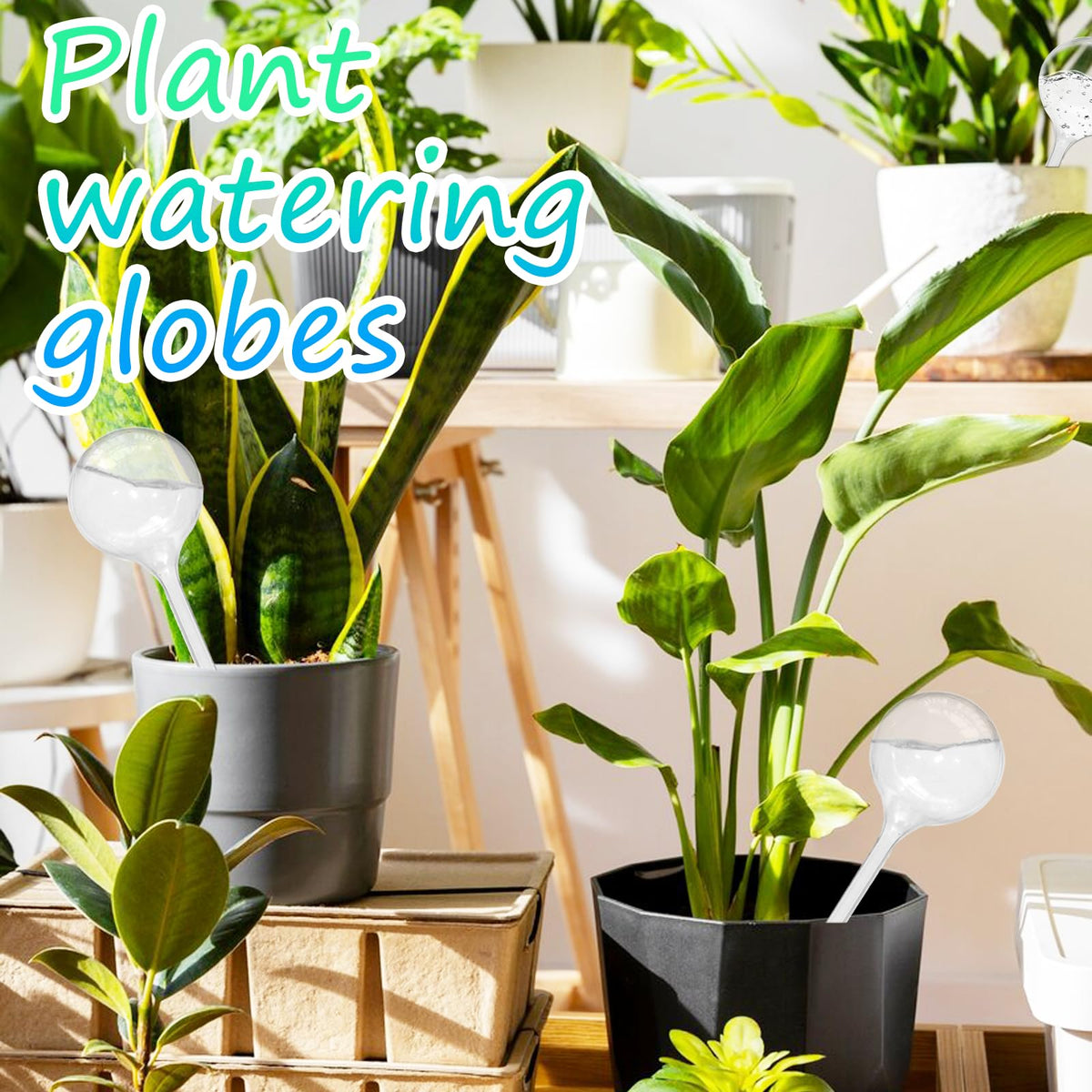 Jgalnim watering bulb with visible water level helps monitor moisture