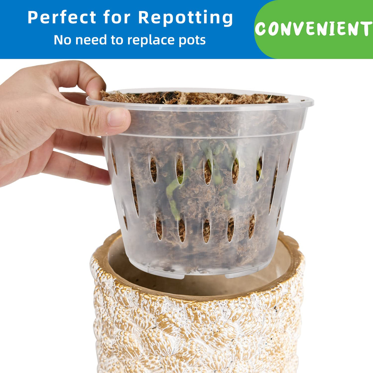 JGB clear orchid pot enables root and soil moisture observation