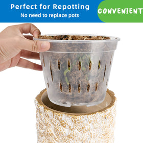 JGB clear orchid pot enables root and soil moisture observation