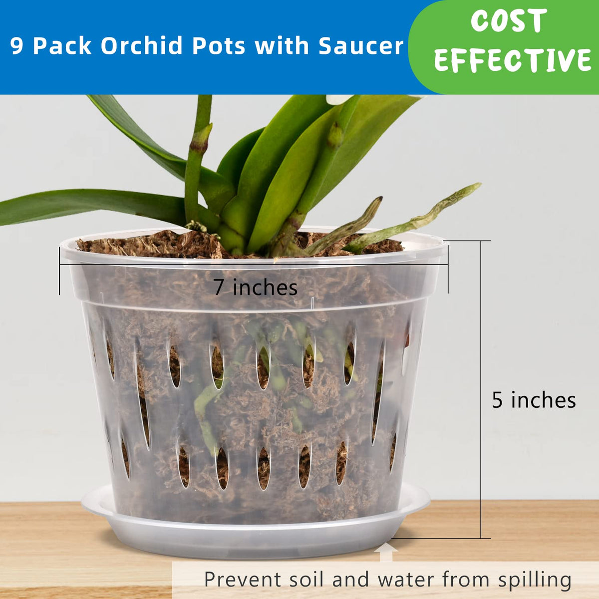 JGB repotting friendly orchid pots designed for stress free transplanting