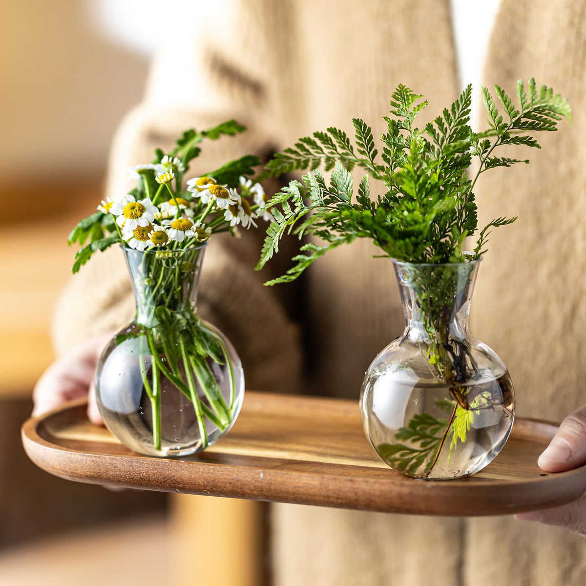 JGKYLDZ clear plastic vase shows roots and stems clearly.
