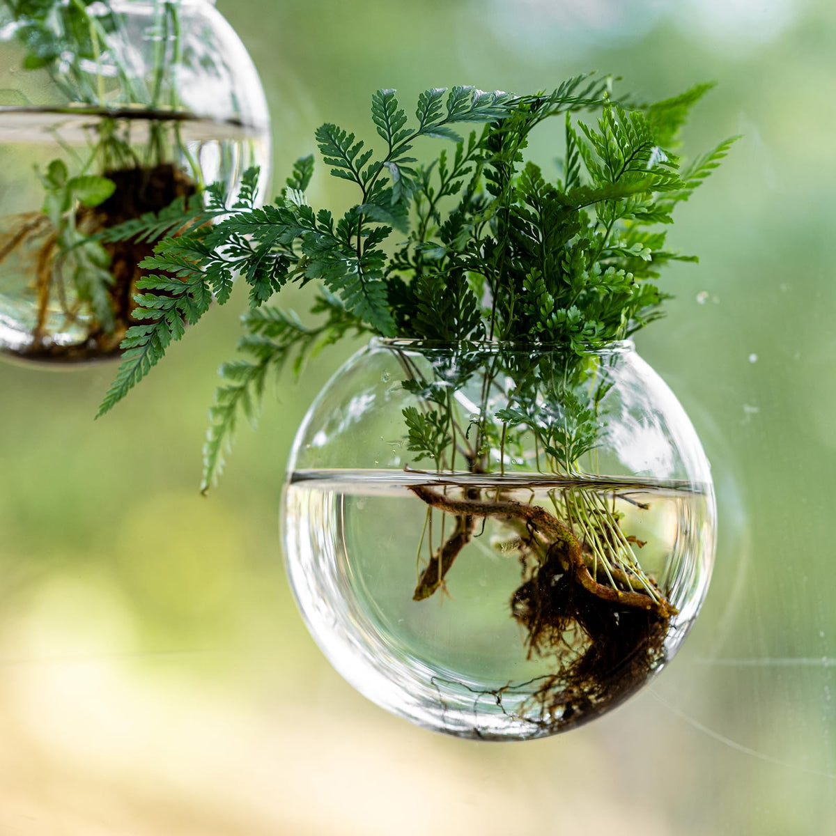 JGKYLDZ gift-ready plant lovers decor with practical propagation station.
