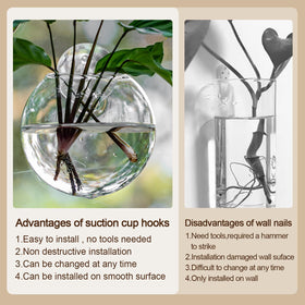 JGKYLDZ hydroponic propagation in clear water-filled planter.