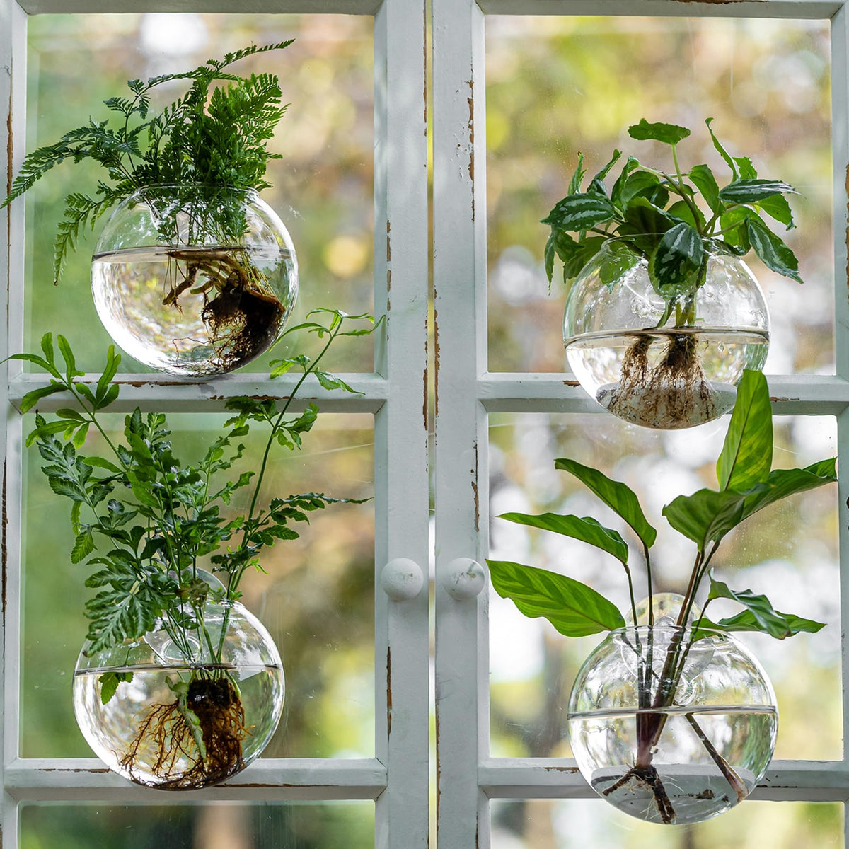 JGKYLDZ wall hanging planter decor on kitchen or office wall.