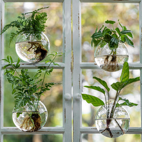 JGKYLDZ wall hanging planter decor on kitchen or office wall.