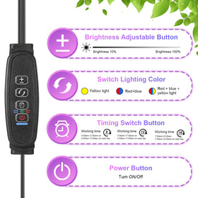 JhauvMw 10 dimming levels and 3 spectral modes tailor lighting for growth stages.
