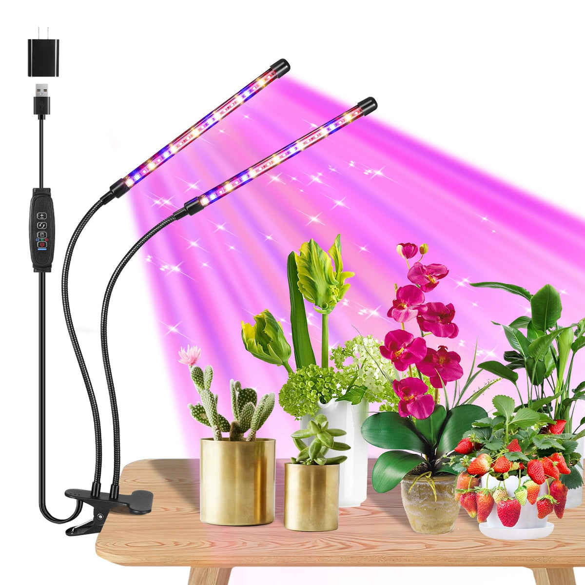 JhauvMw clip-on light clip secures positioning for compact indoor plant setups.
