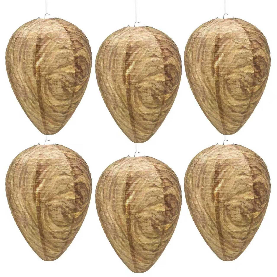 JHUEOPQD six-pack wasp nests displayed for porch protection and outdoor use