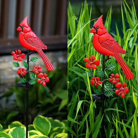Jiasku solar-powered cardinal light offers ambient glow for evenings.