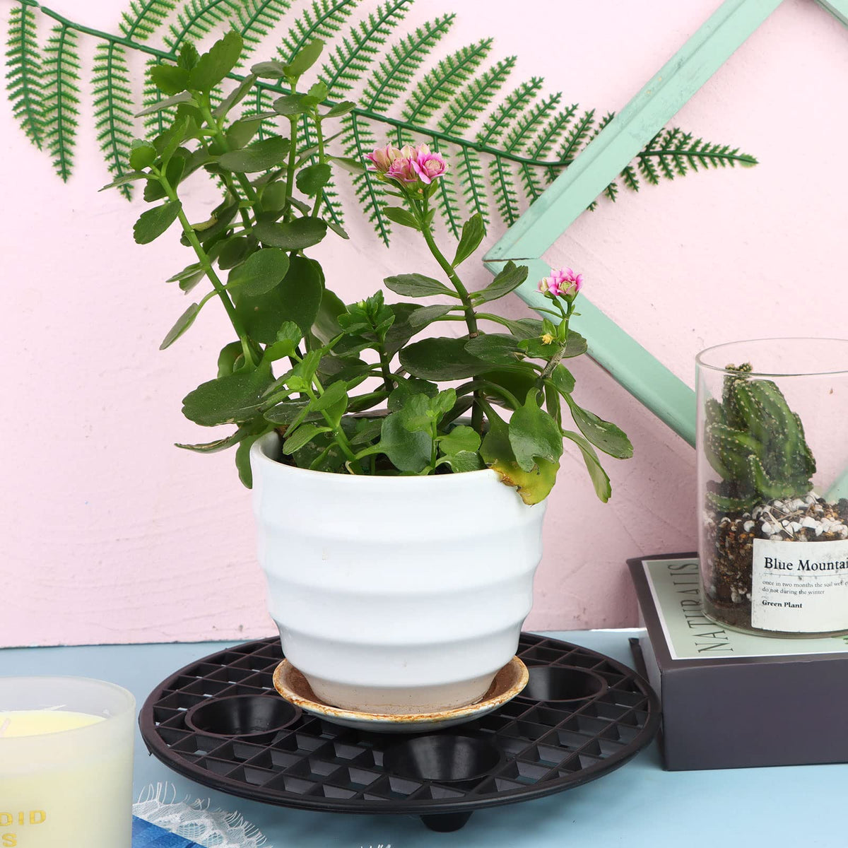 JiaUfmi round pot risers with five supporting feet distribute weight evenly.