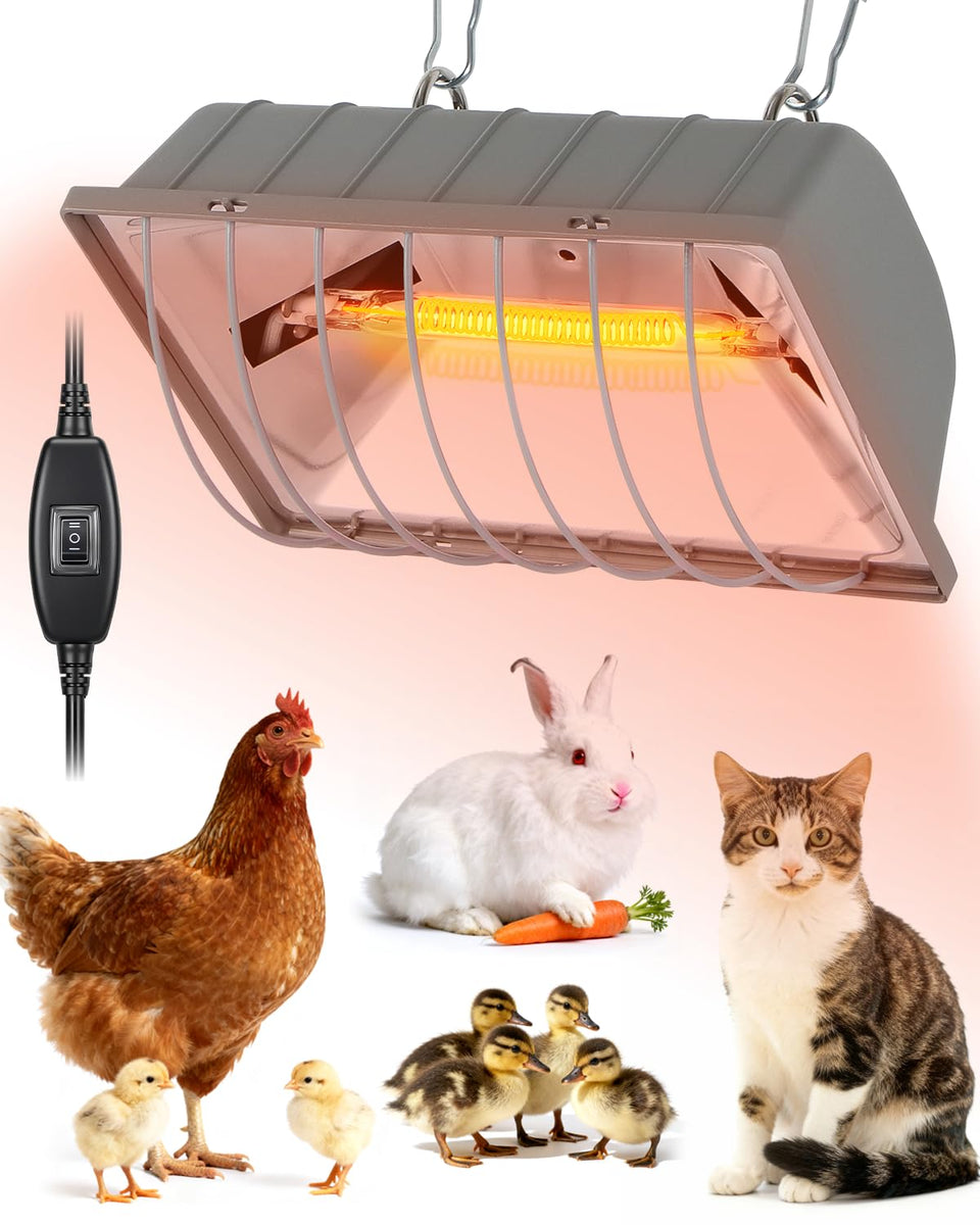 JIAXIDE 300W heat lamp heats chicks safely in a brooder for cozy warmth.