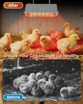 JIAXIDE spiral heating component distributes even heat across poultry area.