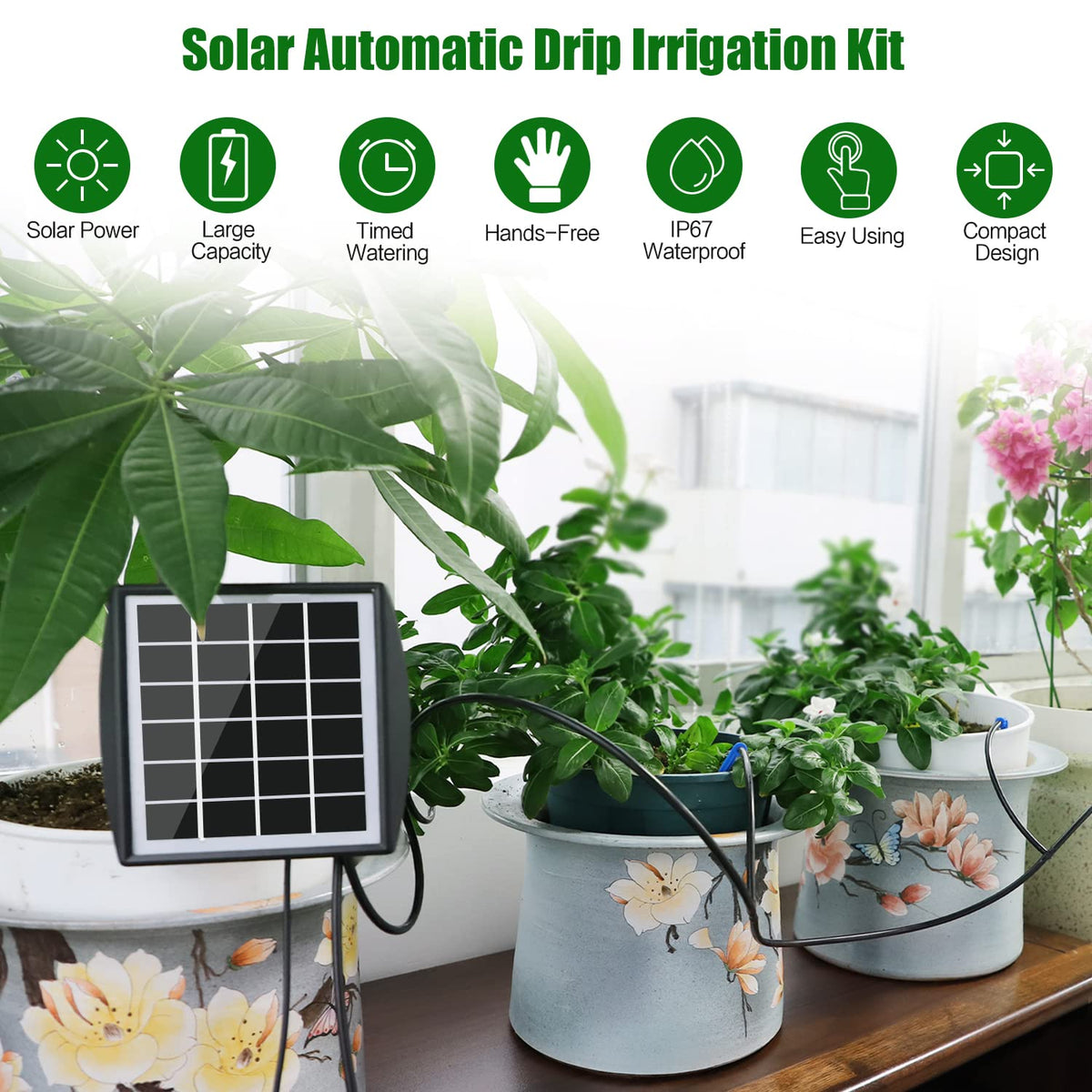 JIYANG solar-powered pump and tubing demonstrates autonomous watering without constant power