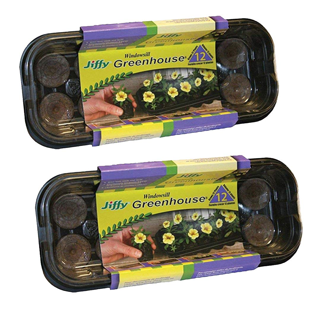 Jiffy 36mm Windowsill Greenhouse ready for indoor seed germination
