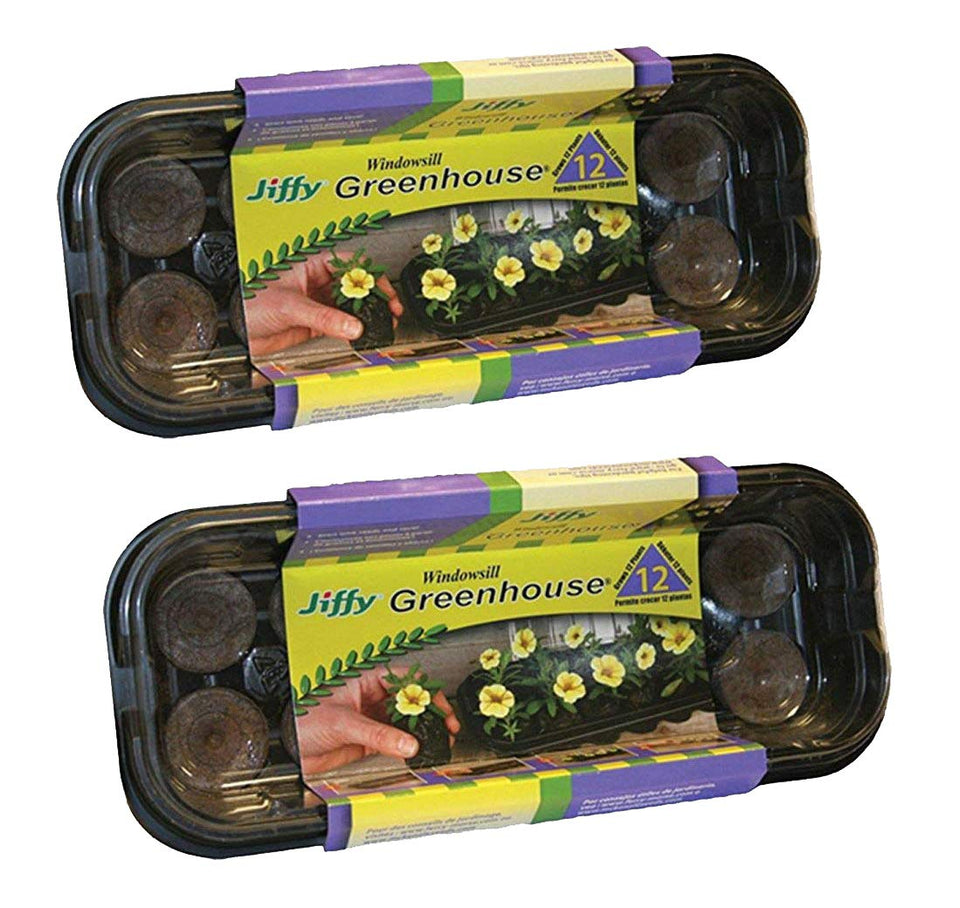 Jiffy 36mm Windowsill Greenhouse ready for indoor seed germination