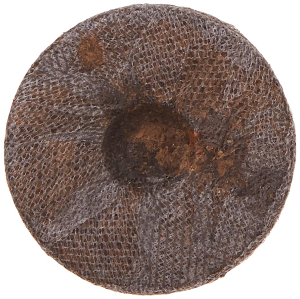 Jiffy J3R36 peat pellet expansion close up demonstrates sevenfold size increase